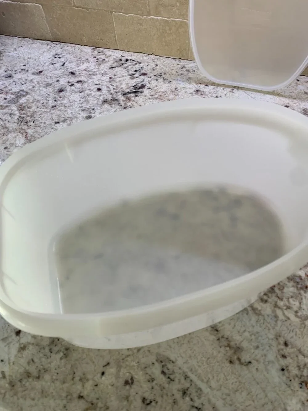 Vintage Tupperware Flavor Savor storage keeper - EUC